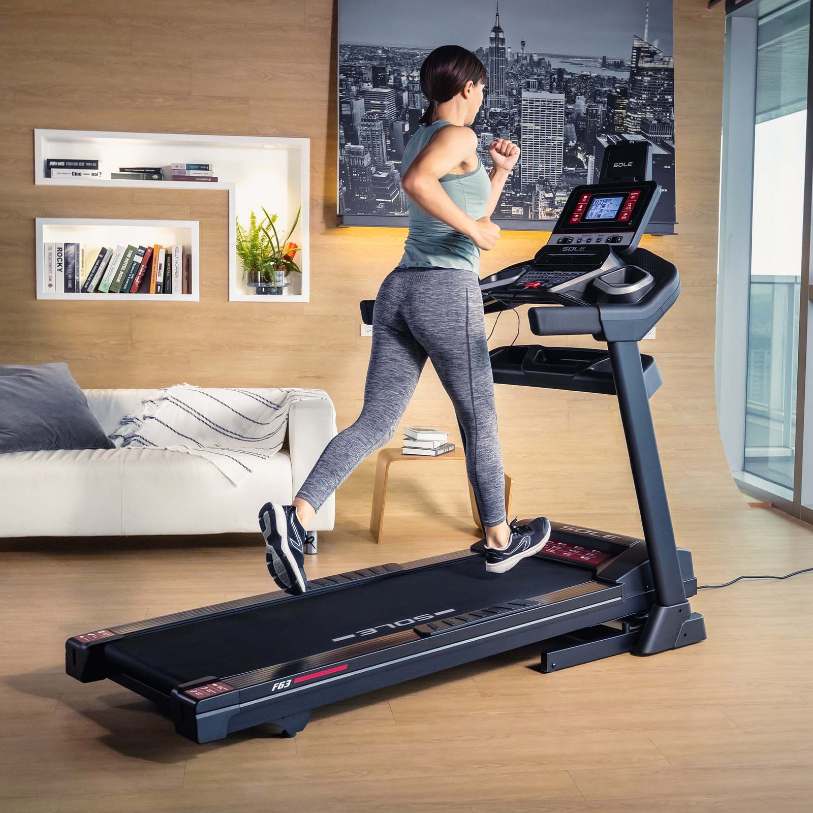 Sole Fitness F63 Folding Treadmill