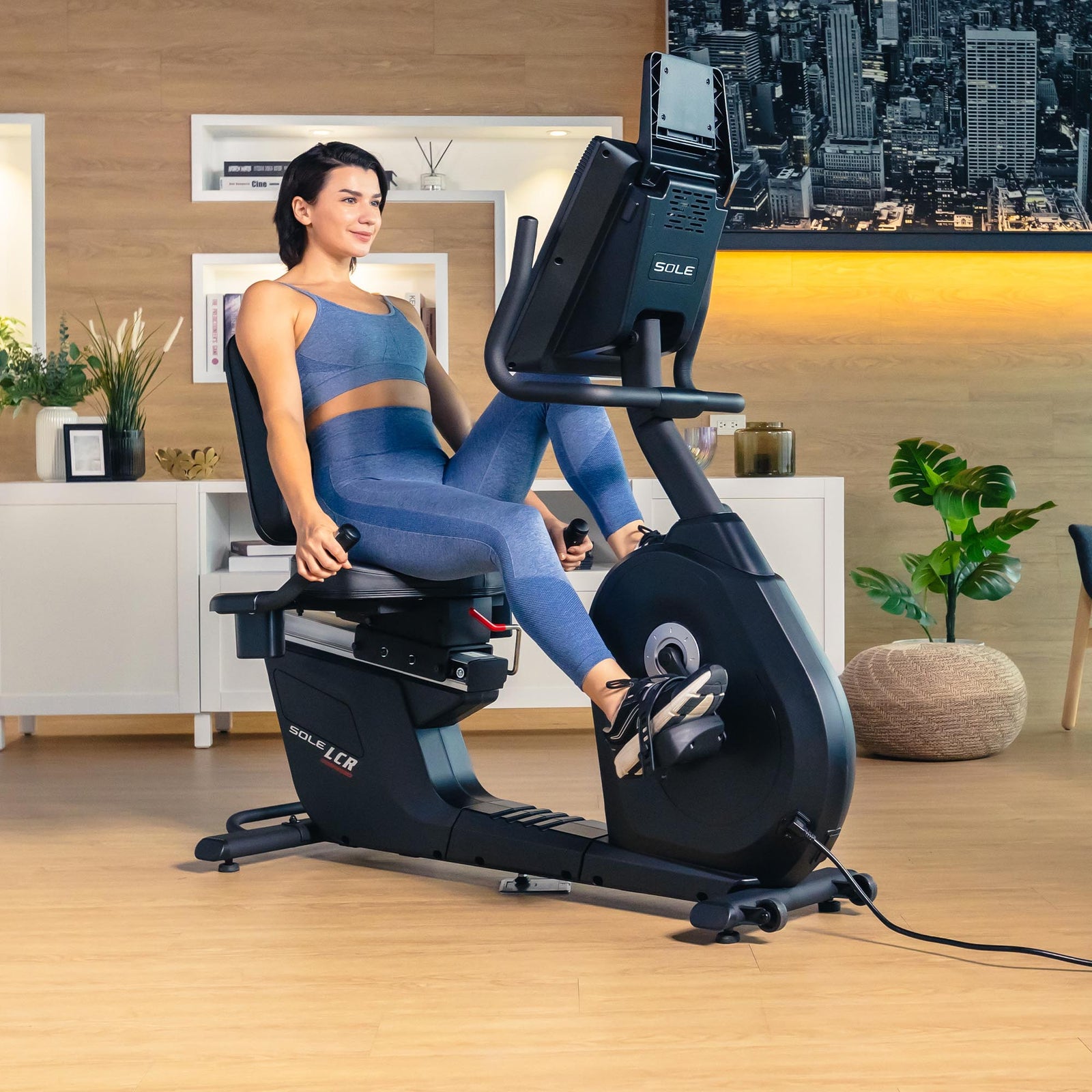 Sole Fitness LCR Recumbent Exercise Bike - Main Image