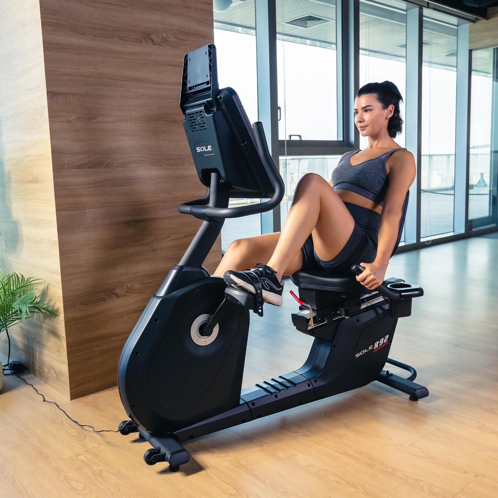 Sole Fitness R92 Recumbent Exercise Bike